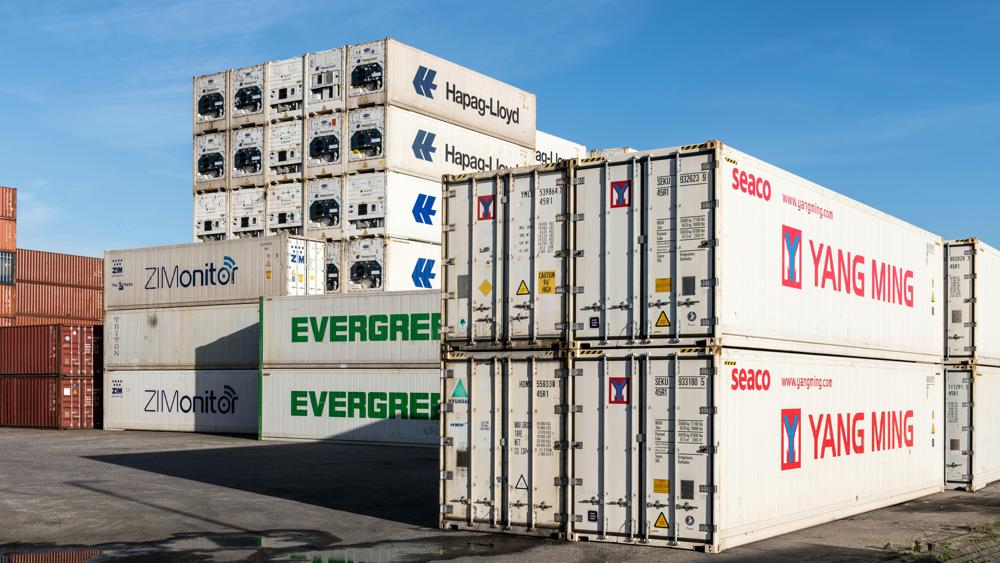 Supply chain