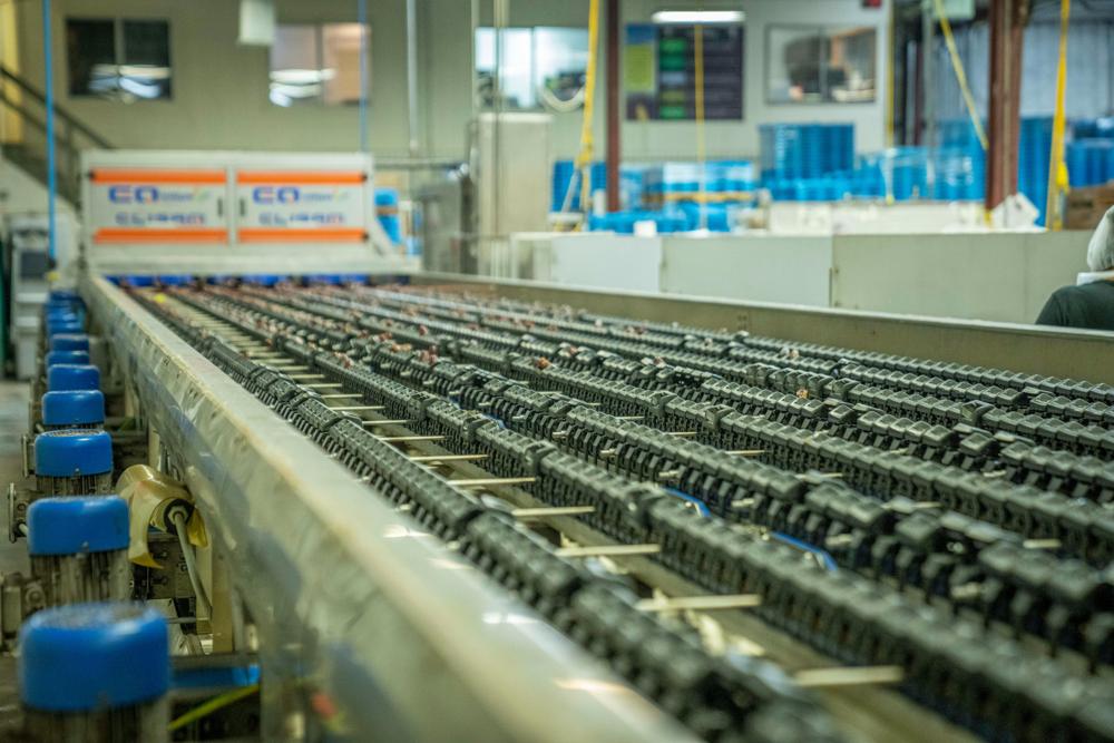 conveyor belt